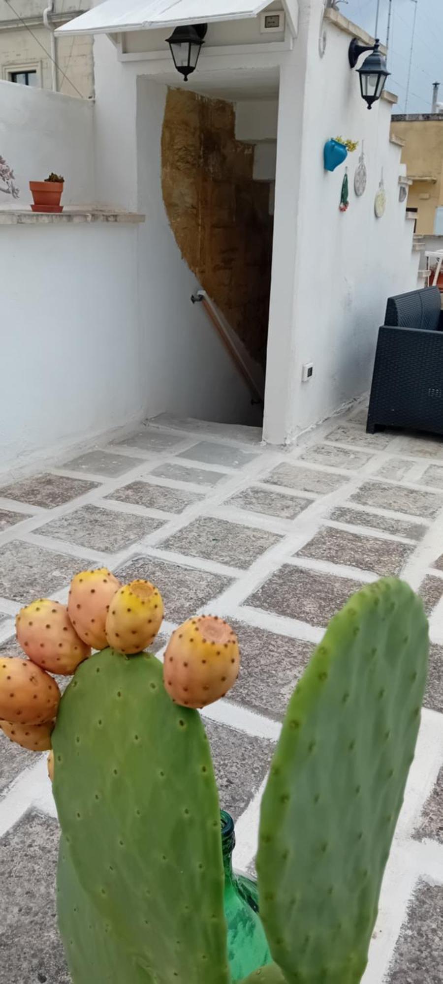 Aremu Otel Lecce Dış mekan fotoğraf